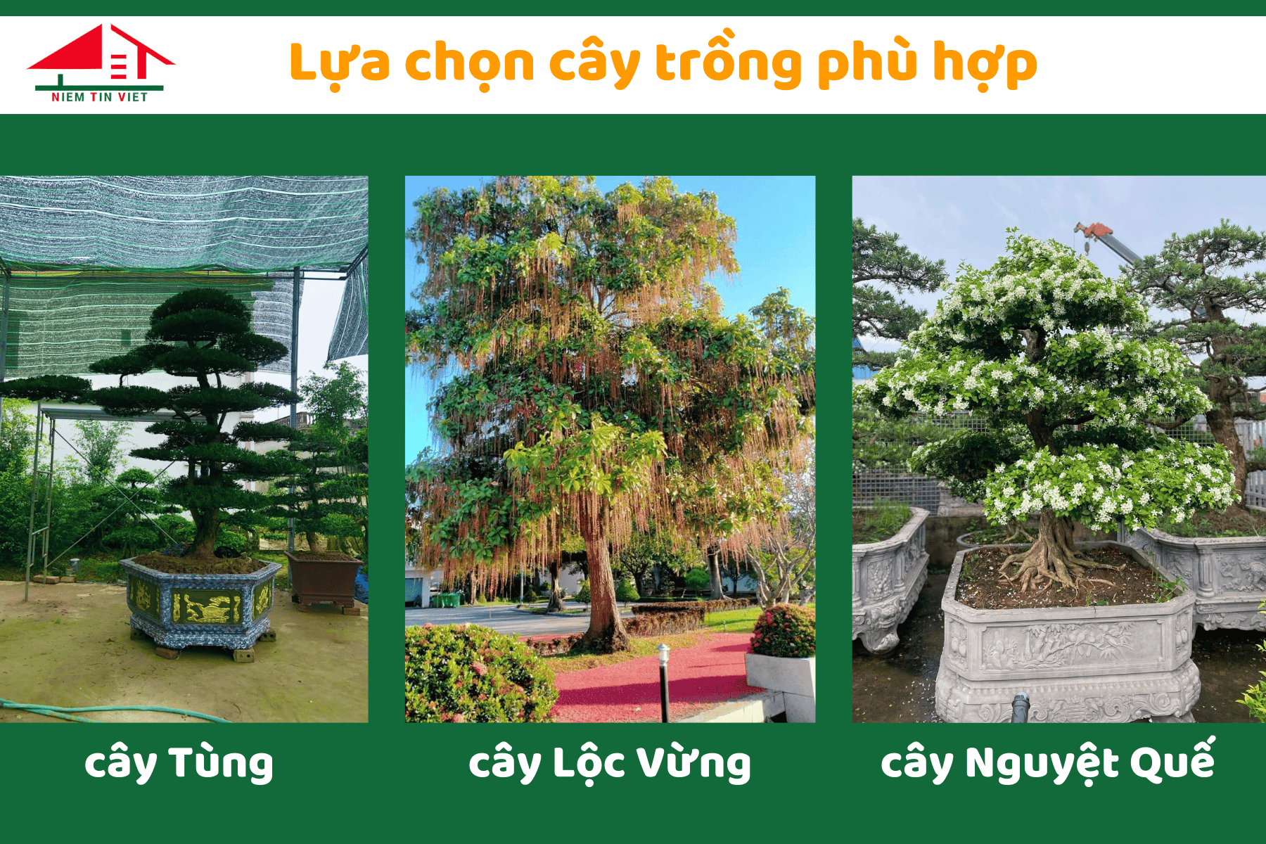 Lựa chọn cây trồng phù hợp